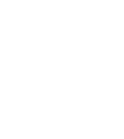 Virginia AI Security Initiative (VAISI) logo