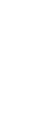 London Interface for AI Safety (LIaiSE) logo